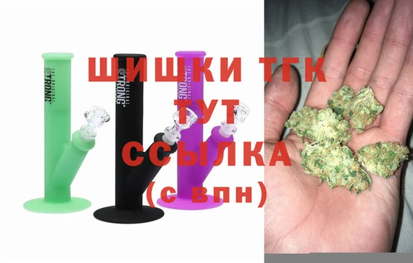 дмт Нея