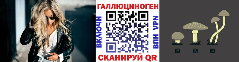 Галлюциногенные грибы мицелий  Миньяр 
